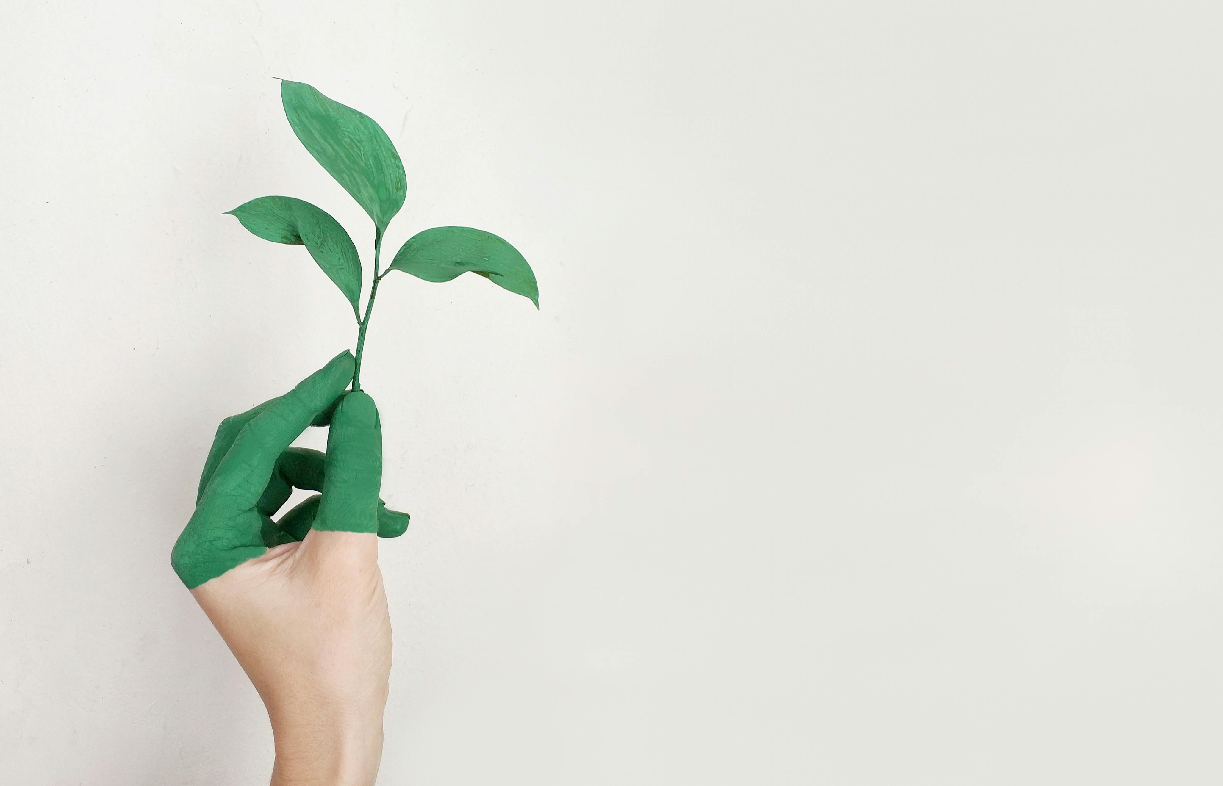 Descubre el curso de “Diseño accesible y sostenible” 