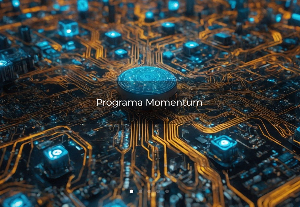 Programa Momentum CSIC
