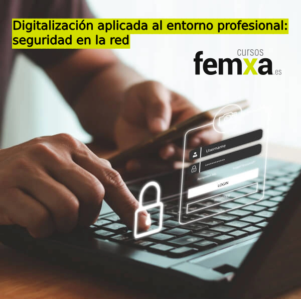 Digitalización aplicada al entorno profesional: seguridad en la red